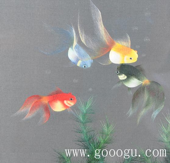 金魚自由自在的游動、展現(xiàn)出形態(tài)優(yōu)美的舞姿！